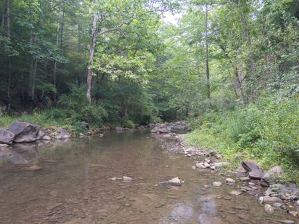 Timberland Property in Bath County, Virginia