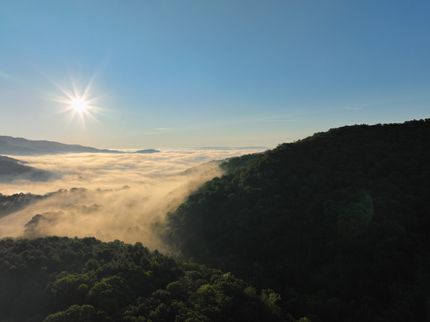 Farm and Ranch in Pocahontas County, West Virginia