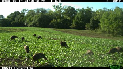 Land in Ray County, Missouri