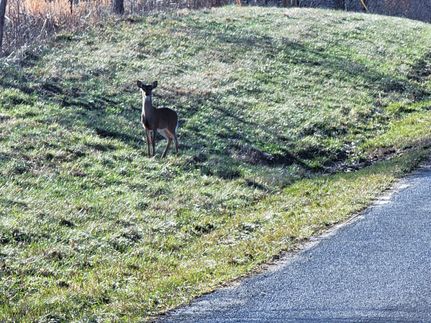 Undeveloped Land in Jackson County, Illinois