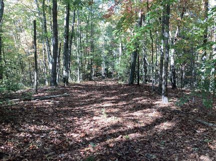 Timberland Property in McDowell County, North Carolina