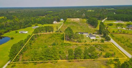 Undeveloped Land in Dillon County, South Carolina