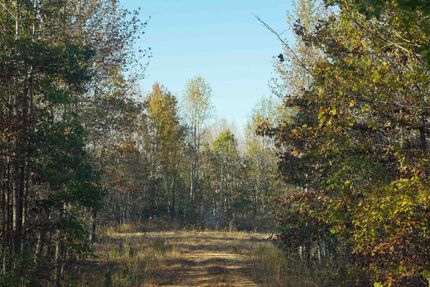Farm and Ranch in Stewart County, Tennessee