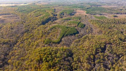 Farm and Ranch in Stewart County, Tennessee