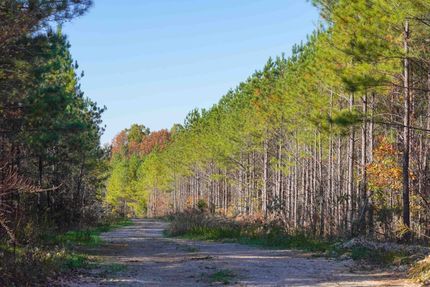 Undeveloped Land in Stewart County, Tennessee