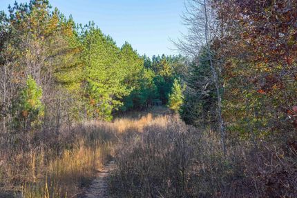 Undeveloped Land in Stewart County, Tennessee