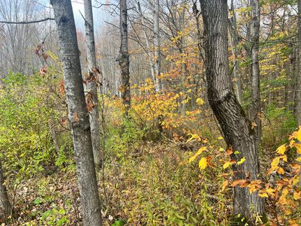 Farm and Ranch for sale in Ashtabula County, Ohio