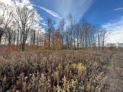 Undeveloped Land in Wayne County, Pennsylvania