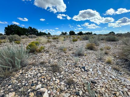 Farm and Ranch in Apache County, Arizona