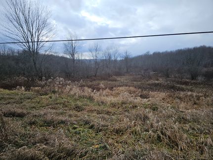 Undeveloped Land in Chenango County, New York
