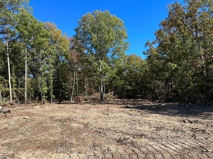 Undeveloped Land in Carter County, Missouri