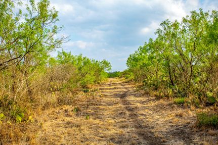 Recreational Property in McMullen County, Texas