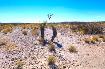 Undeveloped Land in Nueces County, Texas