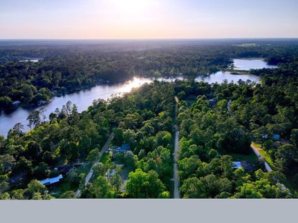 Undeveloped Land in Tyler County, Texas