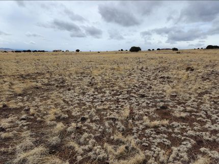 Farm and Ranch in Apache County, Arizona