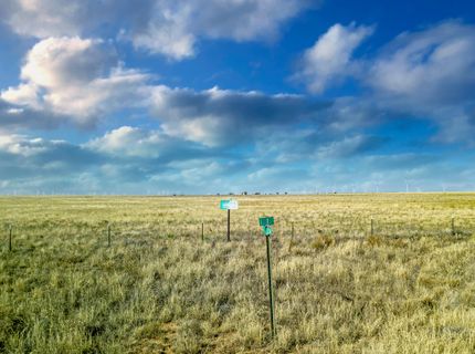 Farm and Ranch in Bailey County, Texas