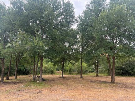 Land in Washington County, Texas