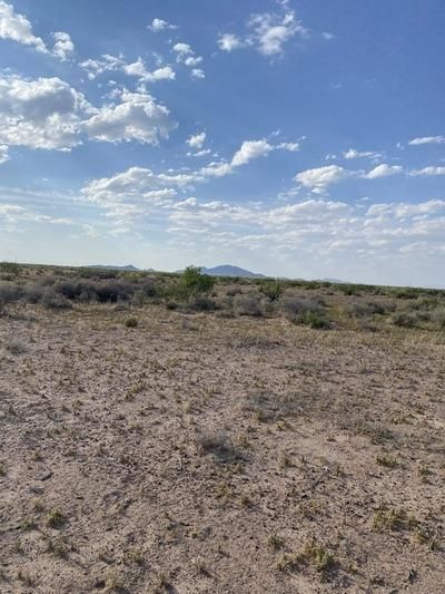 Undeveloped Land in Luna County, New Mexico