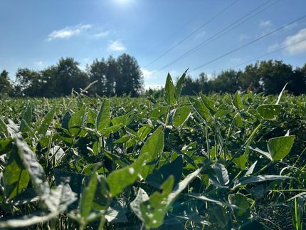 Farm and Ranch in Brown County, Ohio