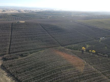 Farm and Ranch in Stanislaus County, California