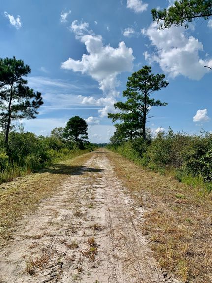 Farm and Ranch for sale in Duplin County, North Carolina