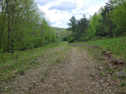 Farm and Ranch in Otsego County, New York