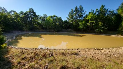 Farm and Ranch in Fulton County, Arkansas