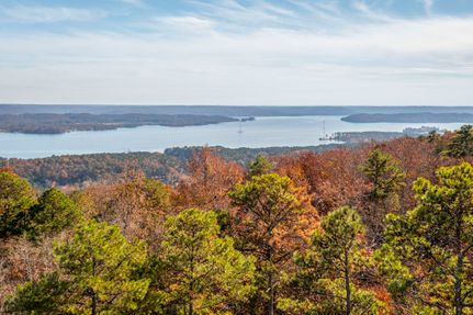Timberland Property in Marshall County, Alabama
