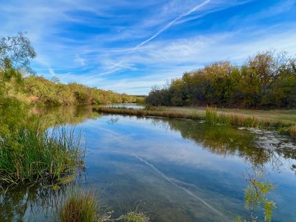 Undeveloped Land in Coleman County, Texas