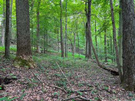 Recreational Property for sale in Ritchie County, West Virginia