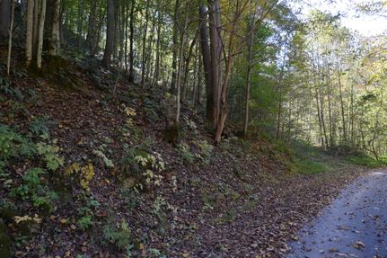 Timberland Property in Washington County, Virginia