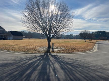 Undeveloped Land in Pamlico County, North Carolina