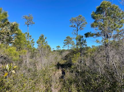 Land in Carteret County, North Carolina