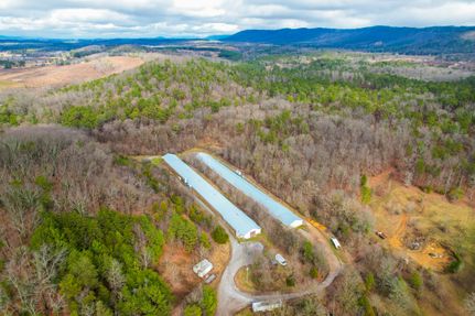 Timberland Property in Walker County, Georgia