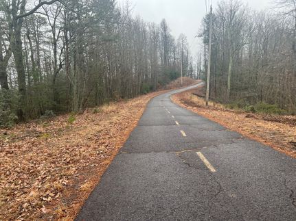 Timberland Property in Burke County, North Carolina