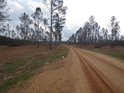 Farm and Ranch in Walthall County, Mississippi
