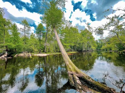 Farm and Ranch in Dillon County, South Carolina