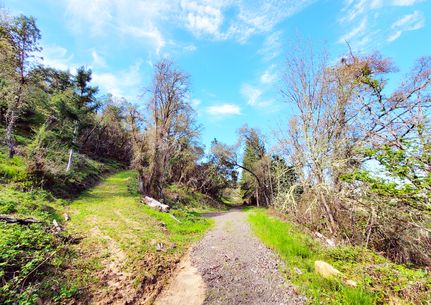 Undeveloped Land in Douglas County, Oregon