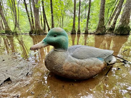 Recreational Property in Cherokee County, Alabama