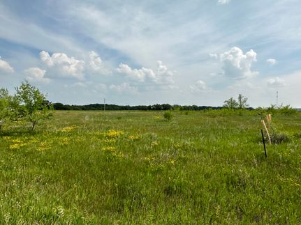 Undeveloped Land in Otter Tail County, Minnesota