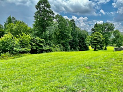Timberland Property in Rhea County, Tennessee