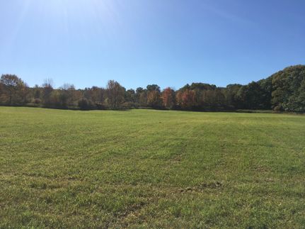 Undeveloped Land in Schoharie County, New York