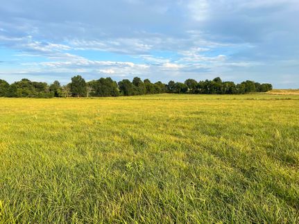 Undeveloped Land in Dade County, Missouri