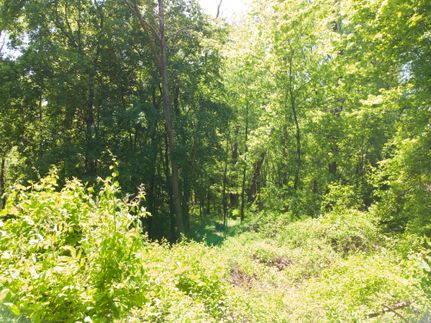 Timberland Property in Lackawanna County, Pennsylvania