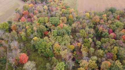 Recreational Property in Clarion County, Pennsylvania