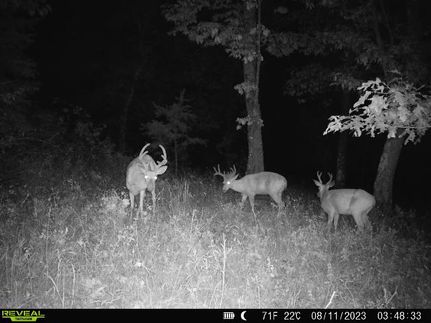 Land in Berkeley County, West Virginia