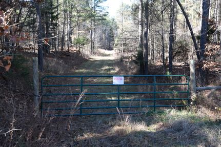 Timberland Property in Panola County, Mississippi