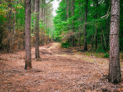 Farm and Ranch in Prentiss County, Mississippi