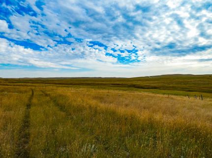 Farm and Ranch in Roosevelt County, Montana