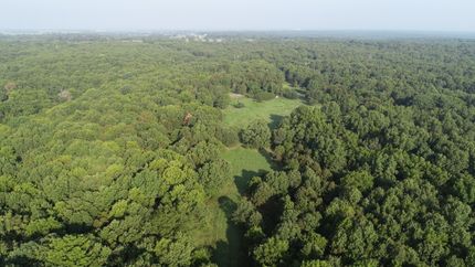 Timberland Property in Lawrence County, Missouri